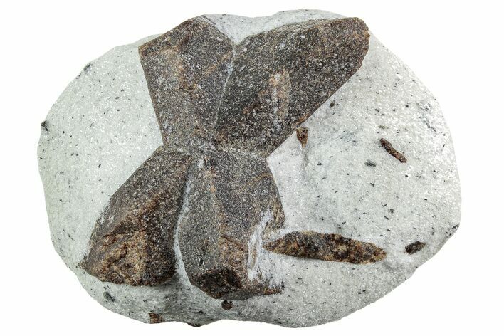 Twinned Staurolite Cross In Glittering Mica-Schist - Russia #242341